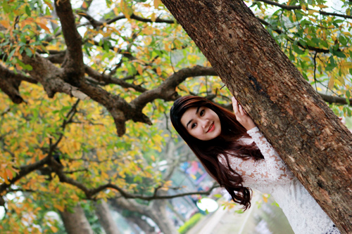 Cảnh đẹp Hồ Gươm: Lộc vừng thay l&aacute;